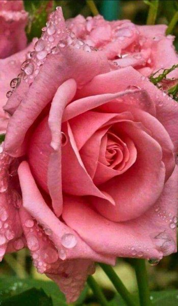 FB IMG 1714884544321