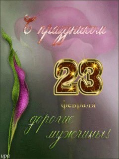 file_13754639