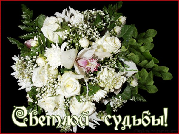 Светлой судьбы