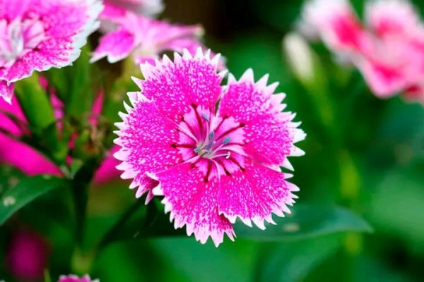 file_95693554