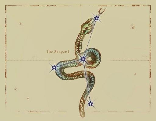 TheSerpent