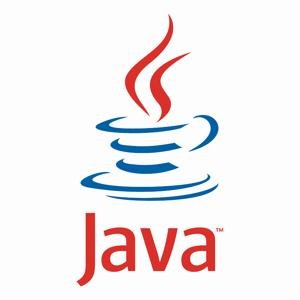 jre-6u30-windows-i586-s