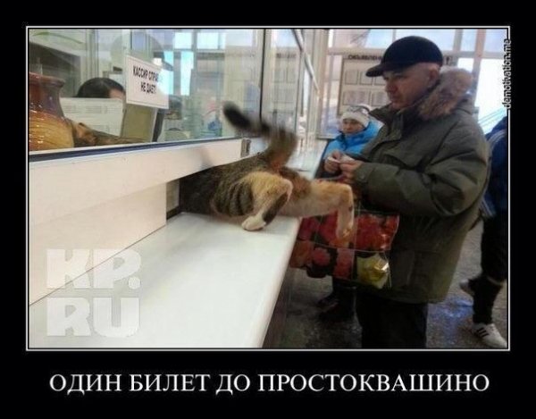 9ff8b561aaffab9a0ce0109c93901879