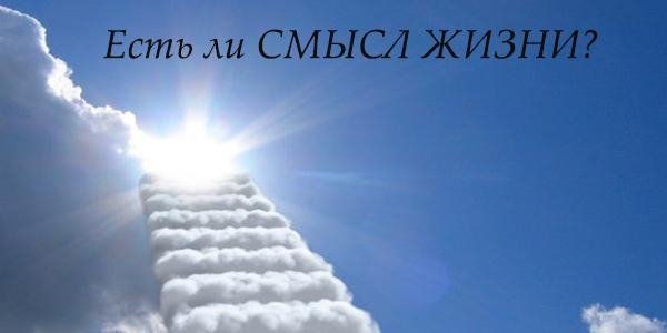 В чем смысл жизни