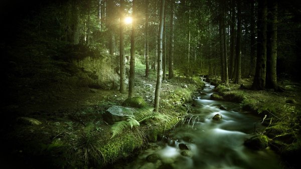 file_70971379