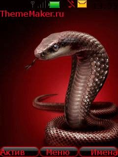 Kobra