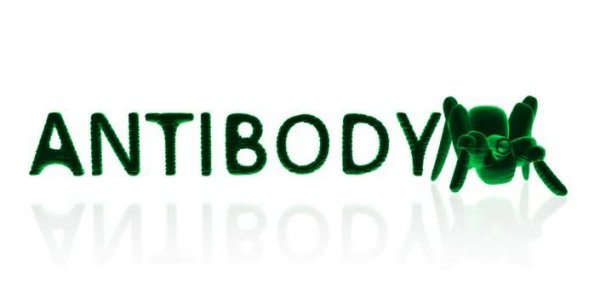 Antibody Boost V1.2