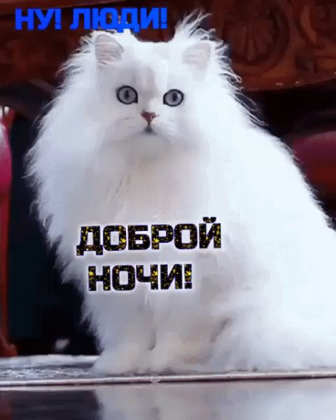IMG 20260502 093529
