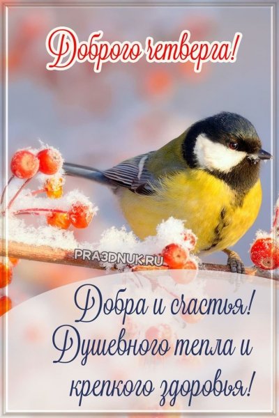 file_91984553