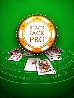 BlackJack Samsung 176x220