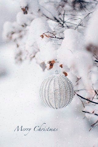 file_79725508