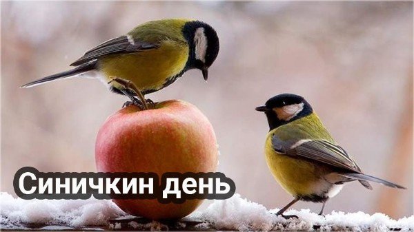 file_95040151
