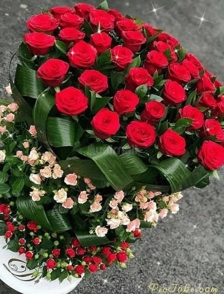 IMG 20230927 180230