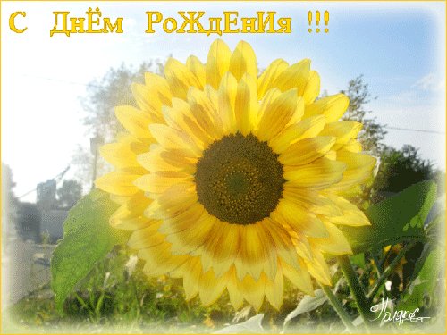 file_46186273