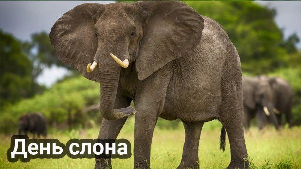 file_95183001