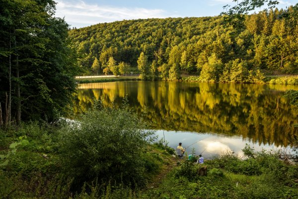 Germany Rivers Forests Fishing lake Biggesee 516344 2560x1708