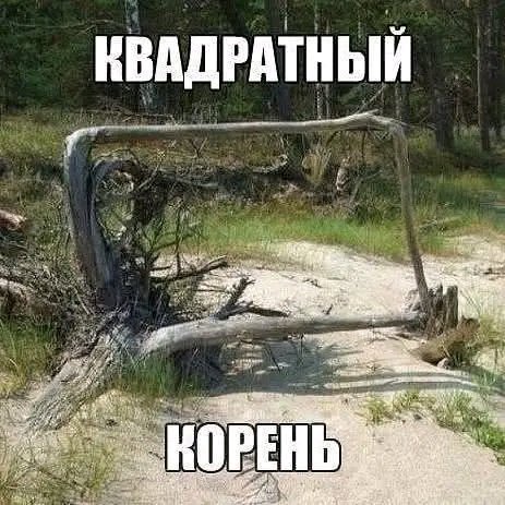file_103139364