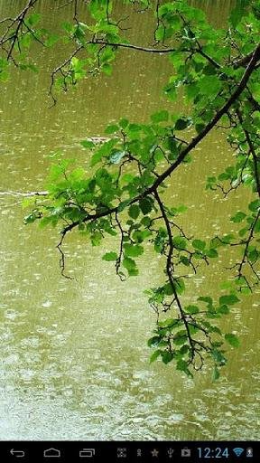 Spring rain v1.1