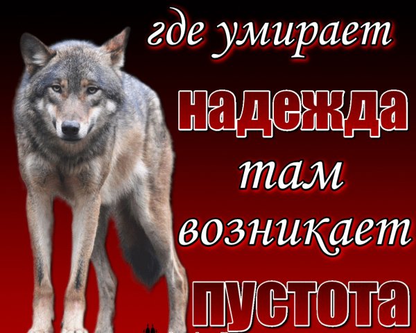 Пустота