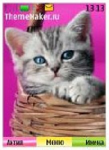 whiskas 125473451629