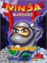 NinjaWarriors 128x160