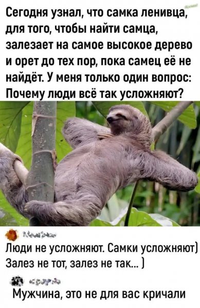 file_99219844