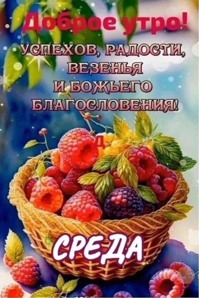 IMG-20260812-WA0002