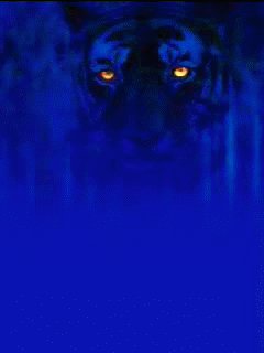 sizka net bluetiger be2eercm