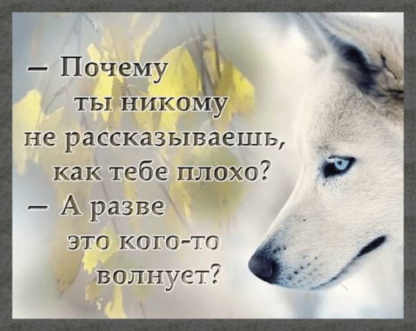 Хорошо сказано