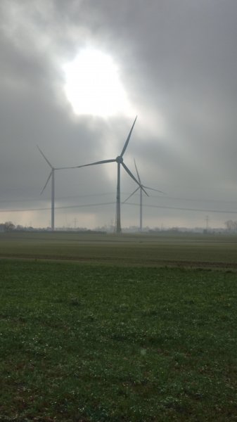IMG 20251212 123339