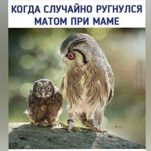 IMG 20250321 023432