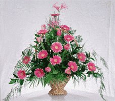 file_86274502