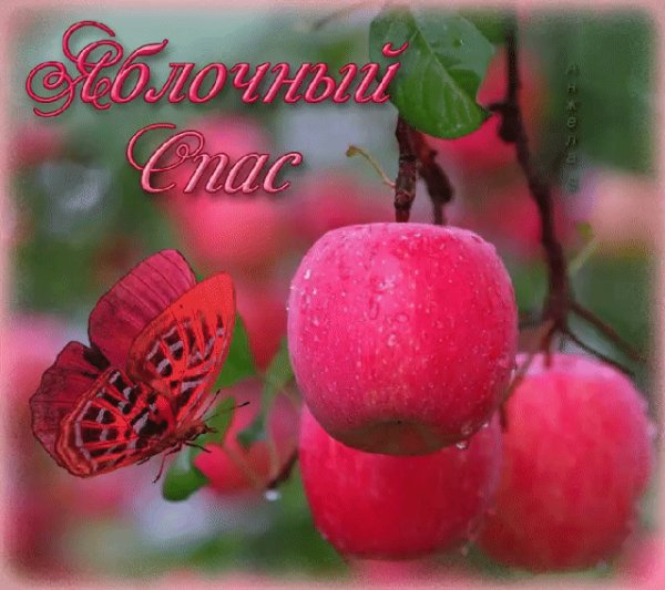 file_74542876