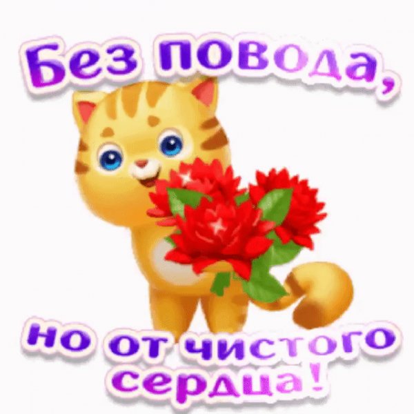 IMG 20210929 074526