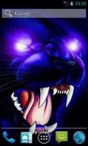 Wild Panther Live Wallpapers 1.0