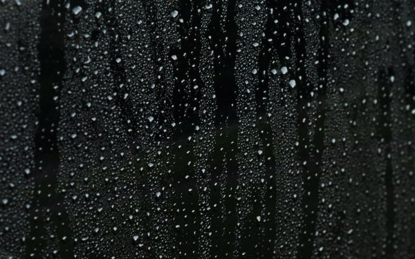 file_65431993