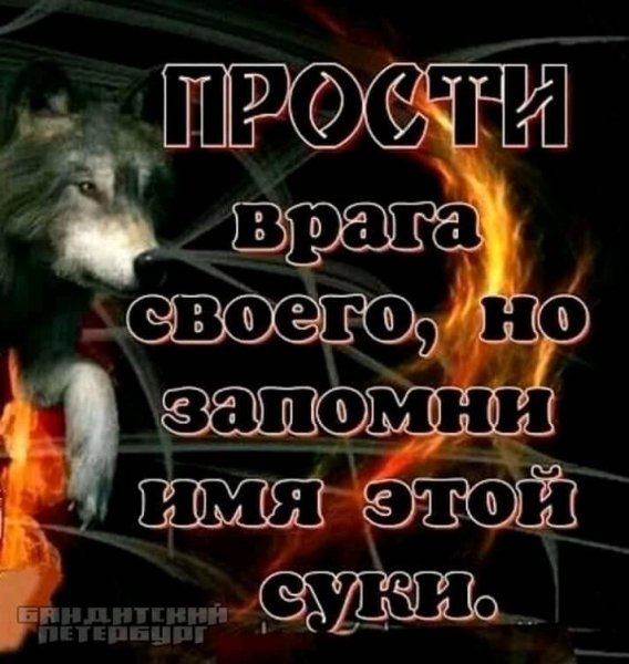 Запомни имя этой суки