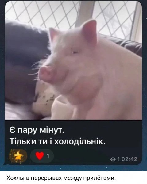 IMG 20260706 155503