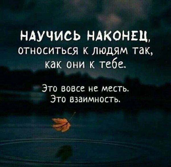 IMG 20250223 205828 653