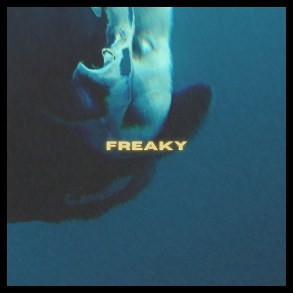 Immerse - Freaky
