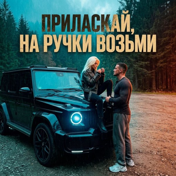 Dj Remob - Приласкай, на ручки возьми