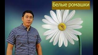 АЗАМАТ ИСЕНГАЗИН - NEW 2021 Белые ромашки