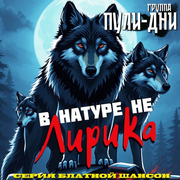 Группа Пули-Дни - Там, за вышками