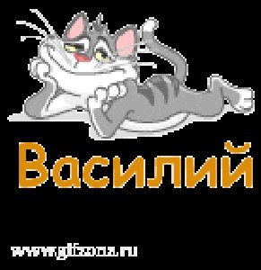 Браво - Вася