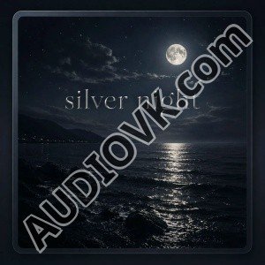 Latiene - Silver Night (Slowed)