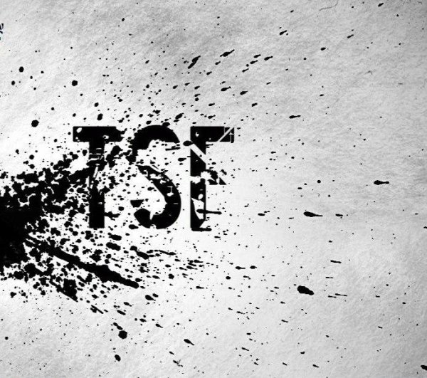 TSF - Мало тебя Serebro cover