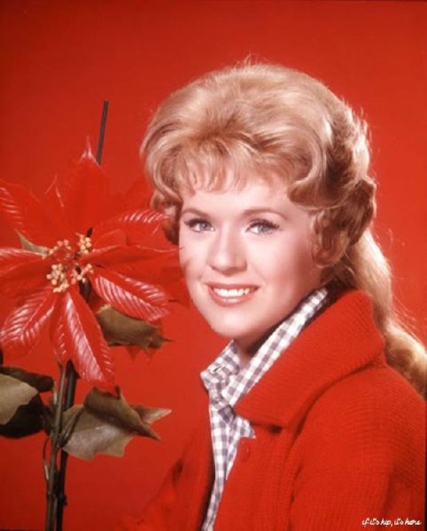 Connie Stevens - Kookie, Kookie (Lend Me Your Comb) (Bonus Track)
