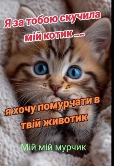 Пісня - Я за тобою скучила мій котик