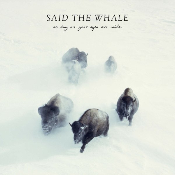 Said The Whale - I Will Follow You