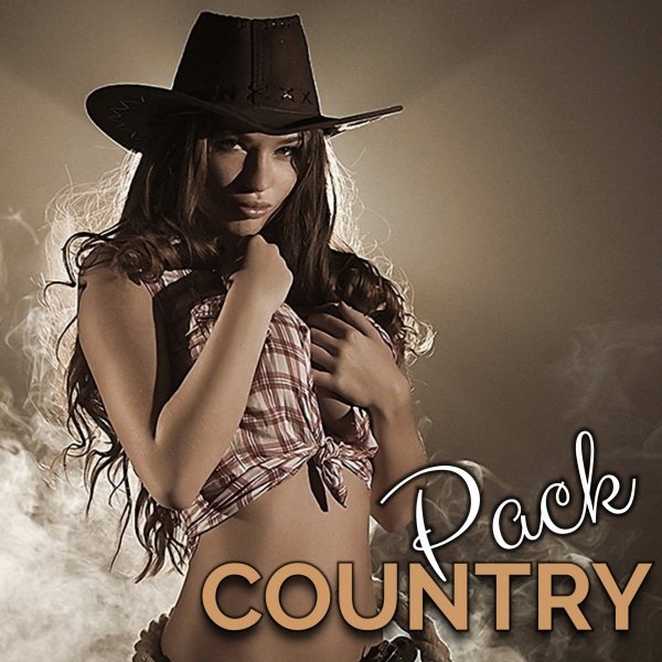 Alan Jackson - The Talkin' Song Repair Blues